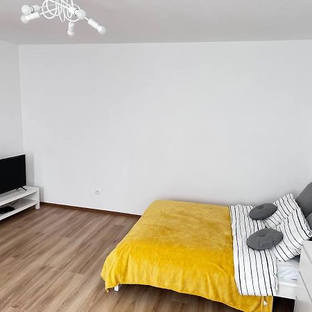 Stone Apartment - Free Parking Катовіце Екстер'єр фото
